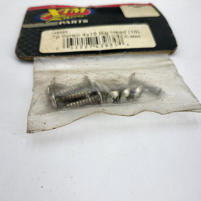XTM Racing Tp screw 4x9 big head #148588