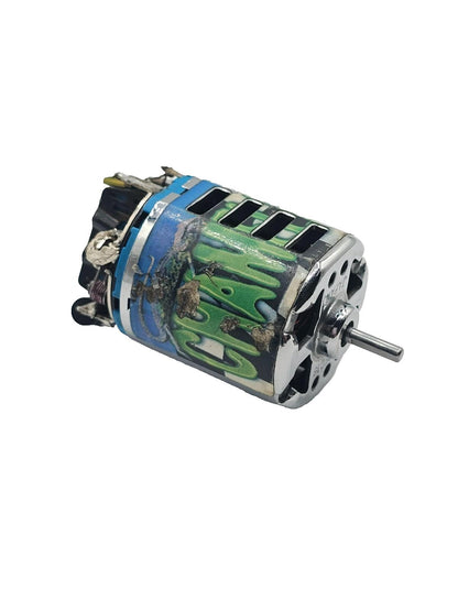 Vintage Trinity Chameleon Modified brushed motor, 19 turn, tested and working